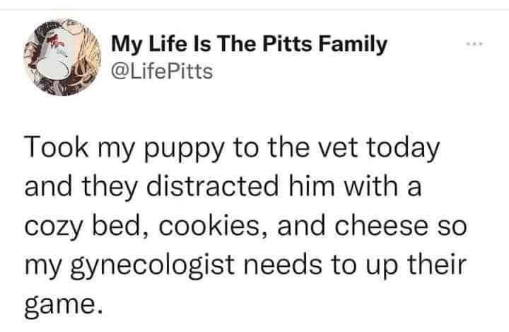 My puppy's vet pampered him way better than my gynecologist ever has.