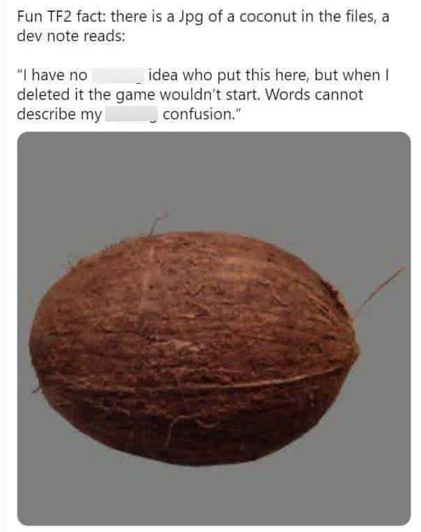 tf2 dev just found a random coconut jpg in the game files and removing it broke the game lol