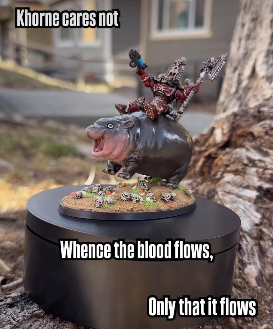 Me riding through life prioritizing chaos