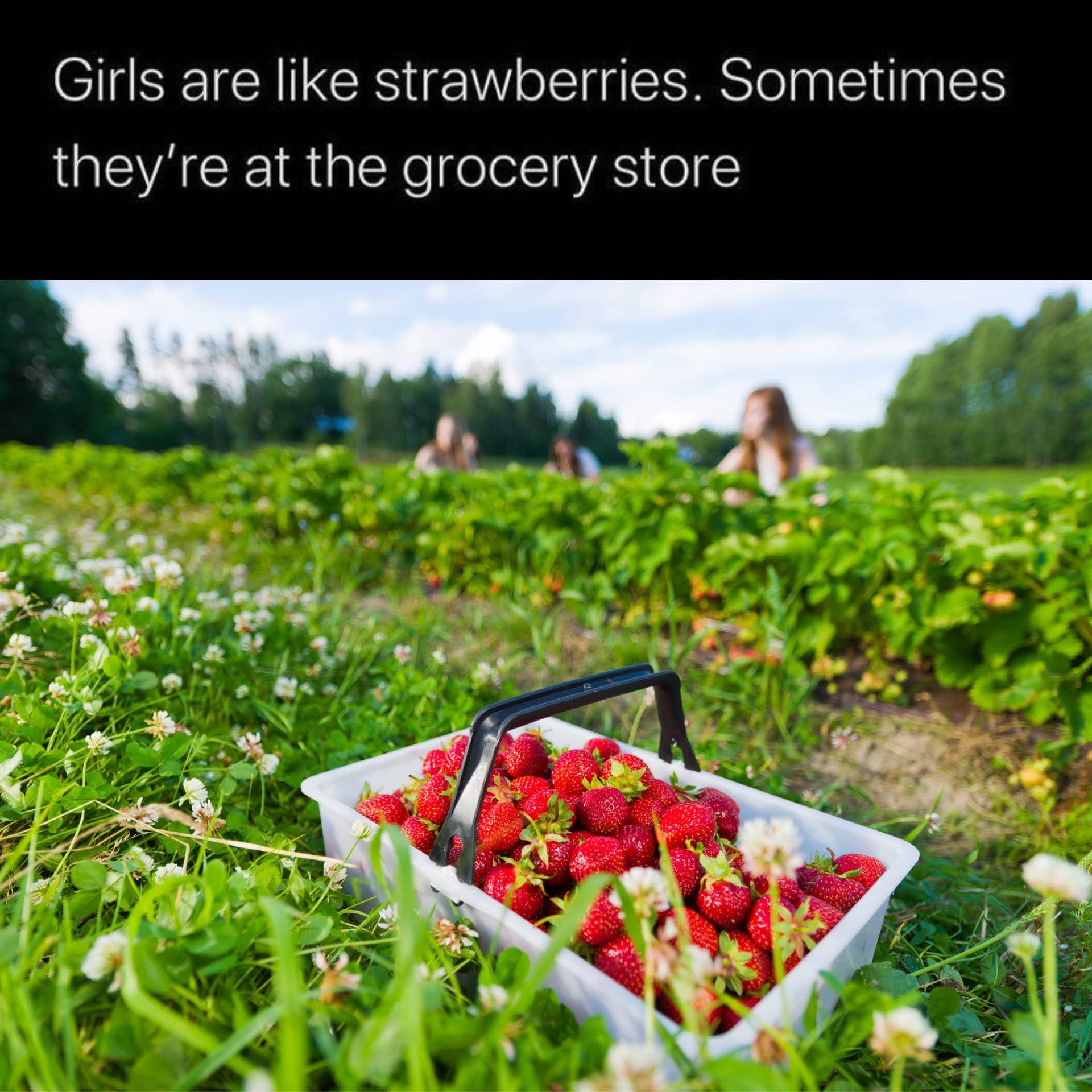 So apparently girls are like strawberries.