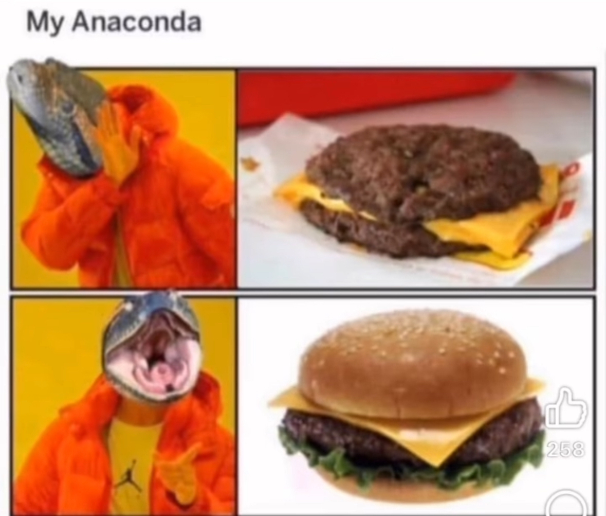 Drake meme format where the anaconda rejects a sad burger and prefers a better looking one.