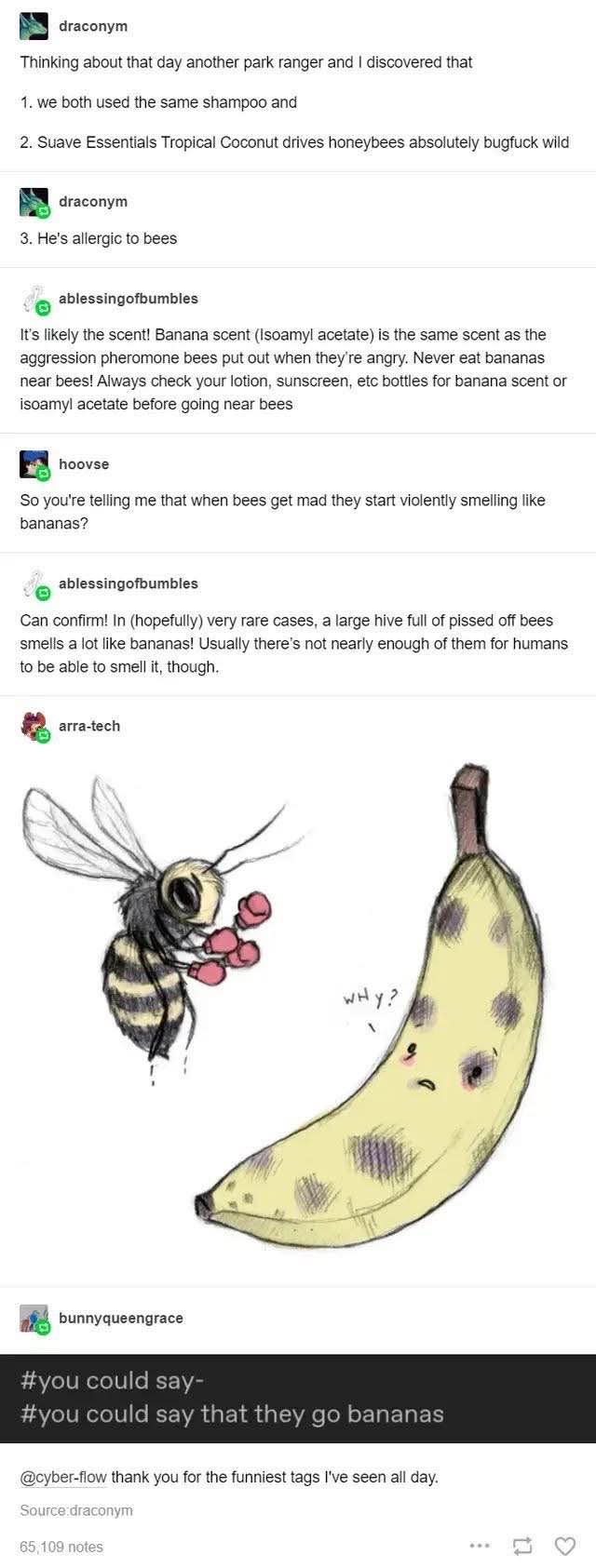 When you realize your shampoo makes bees go wild and they smell like bananas when they're mad.