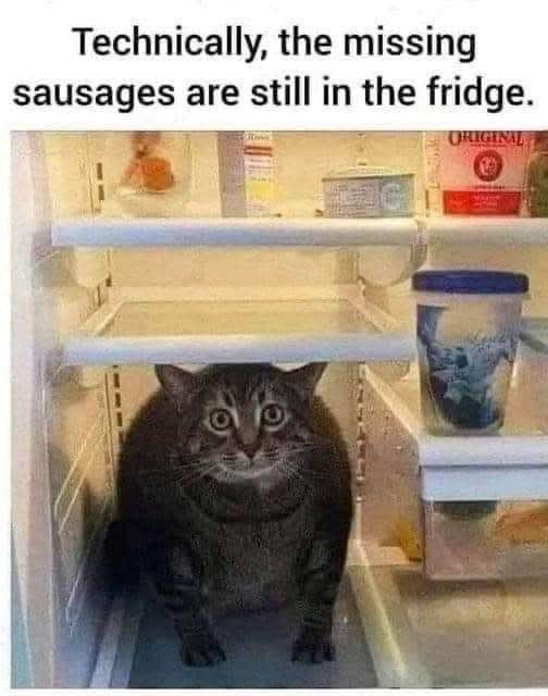 When you open the fridge looking for snacks and find this dude instead.