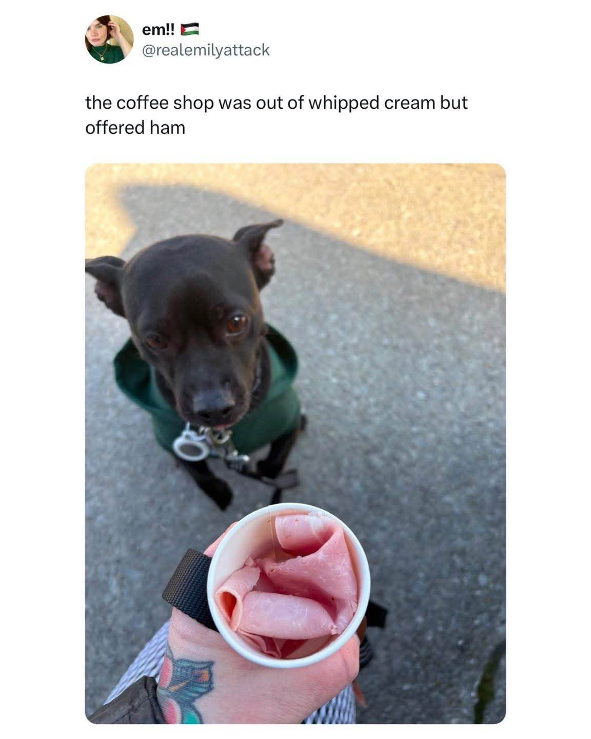 When the coffee shop is out of whipped cream so they give you ham instead for your dog
