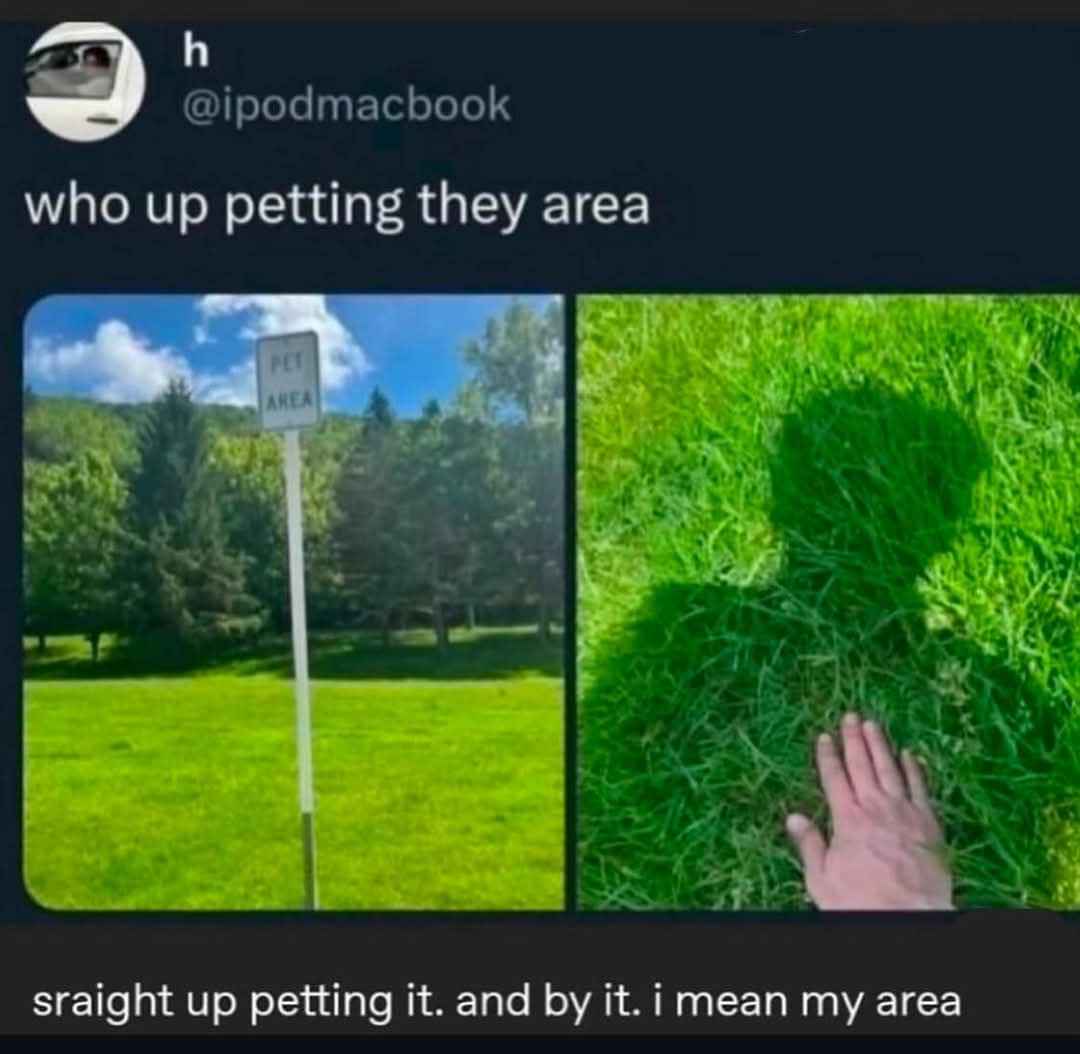 Me petting my own aura because the sign said "Pet Area"