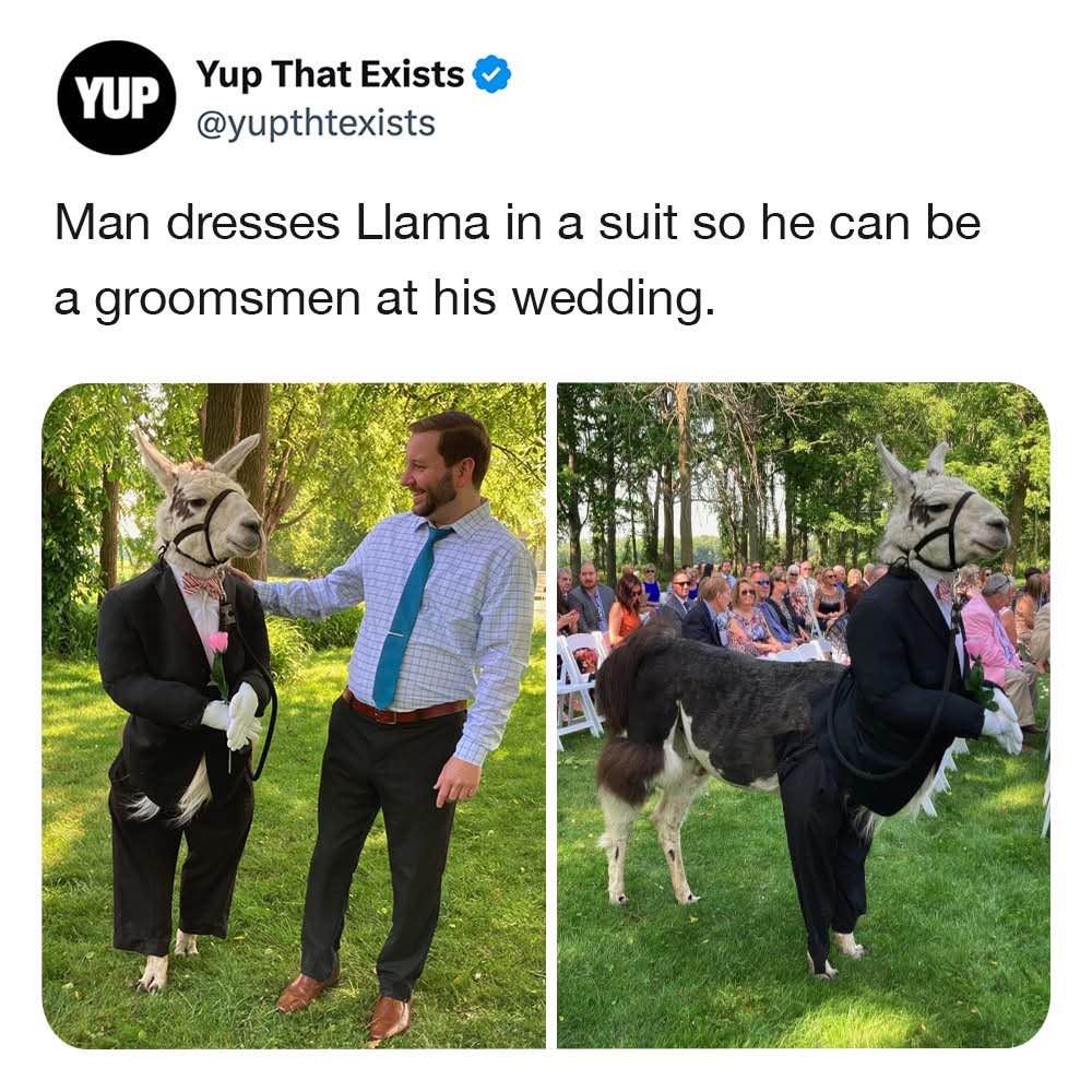 My best man is way cooler than yours