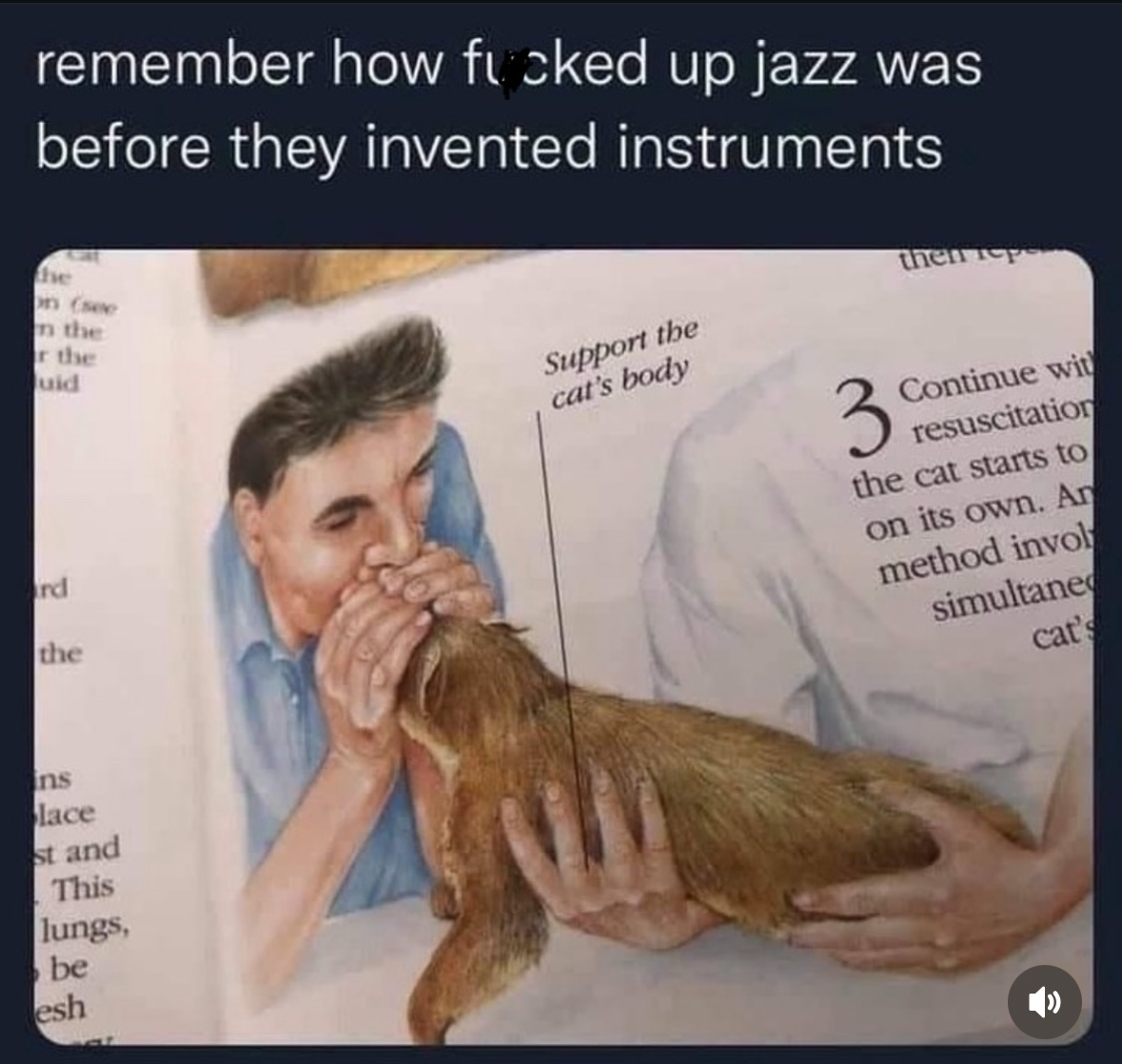 Pretty sure this is how they invented jazz and also the cat.