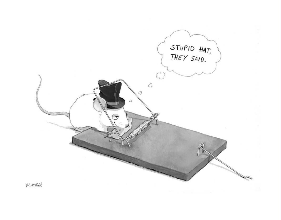 When you finally get that fancy hat but it lands you in a mousetrap.