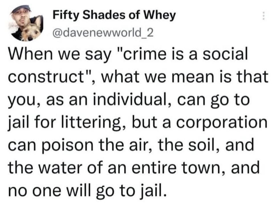 Me explaining how crime is actually just a social construct when corporations get away with way worse than littering.