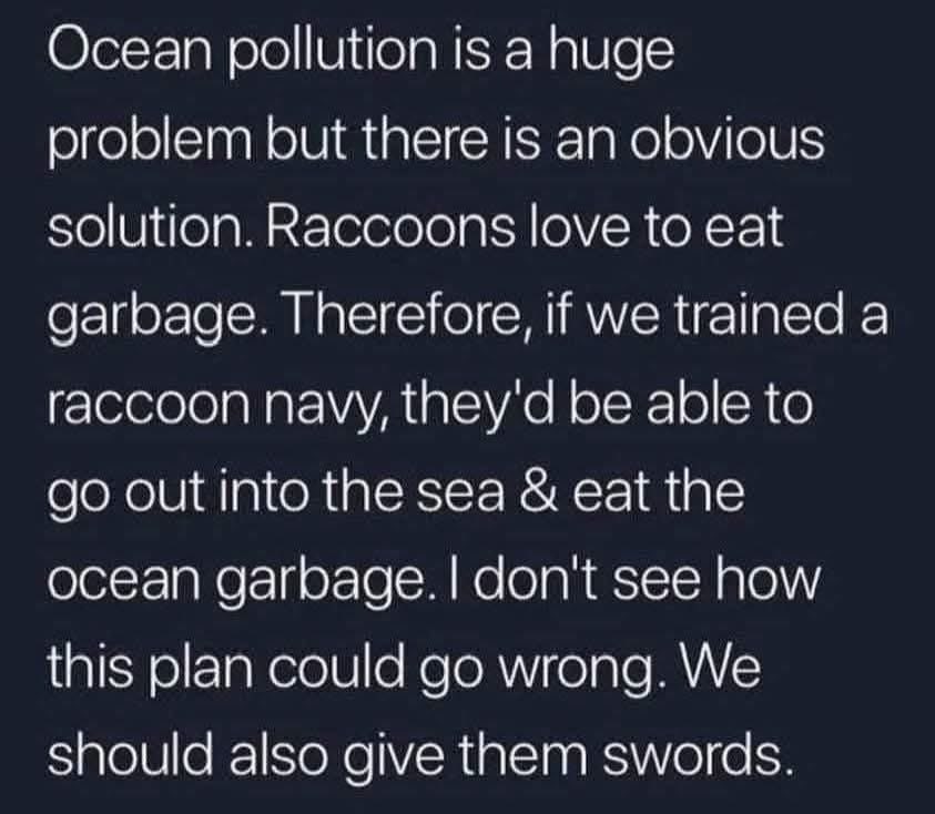 Basically a genius plan to solve ocean pollution by training a raccoon navy and giving them swords. What could go wrong?