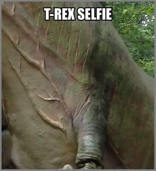 T-Rex trying to take a selfie with those tiny arms