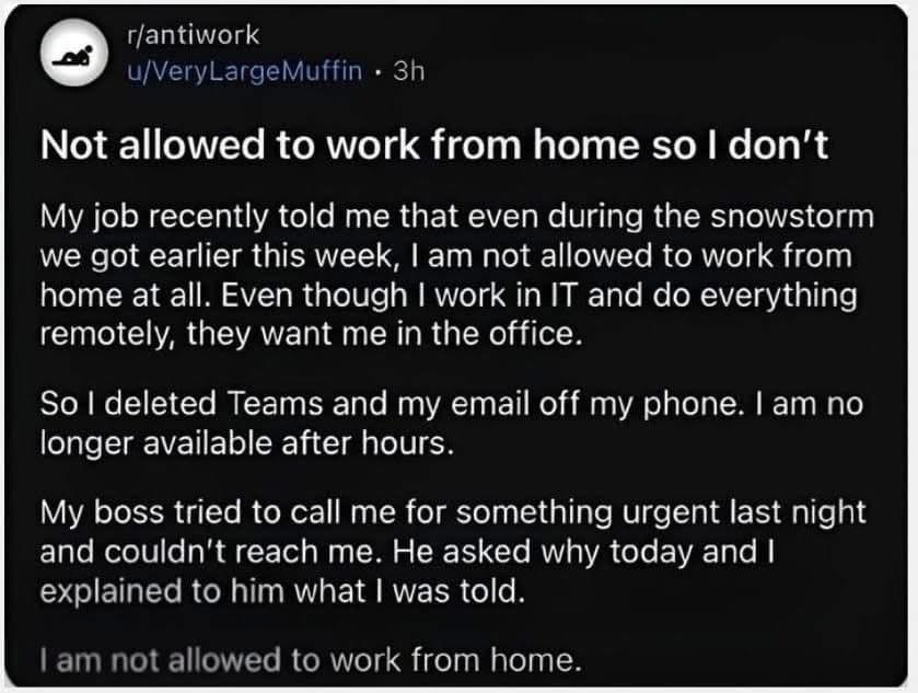 IT guy takes 'not allowed to work from home' literally during a snowstorm lol