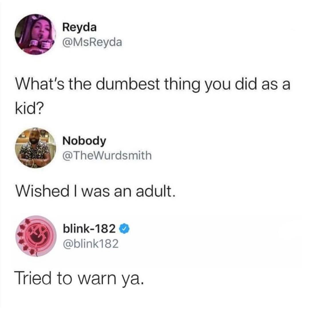 Blink-182 chiming in to say they tried to warn us about being adults lol