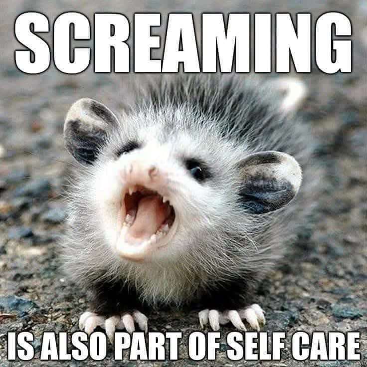 When you gotta let out all the pent-up rage but also be mindful of your mental health
