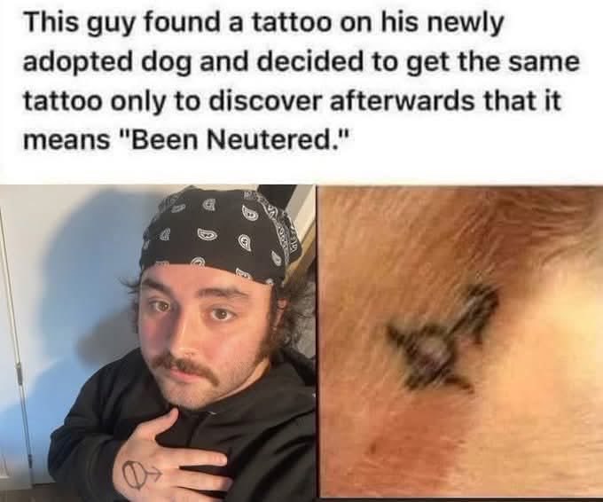 When you blindly copy your dog's tattoo and it turns out to mean "Been Neutered."