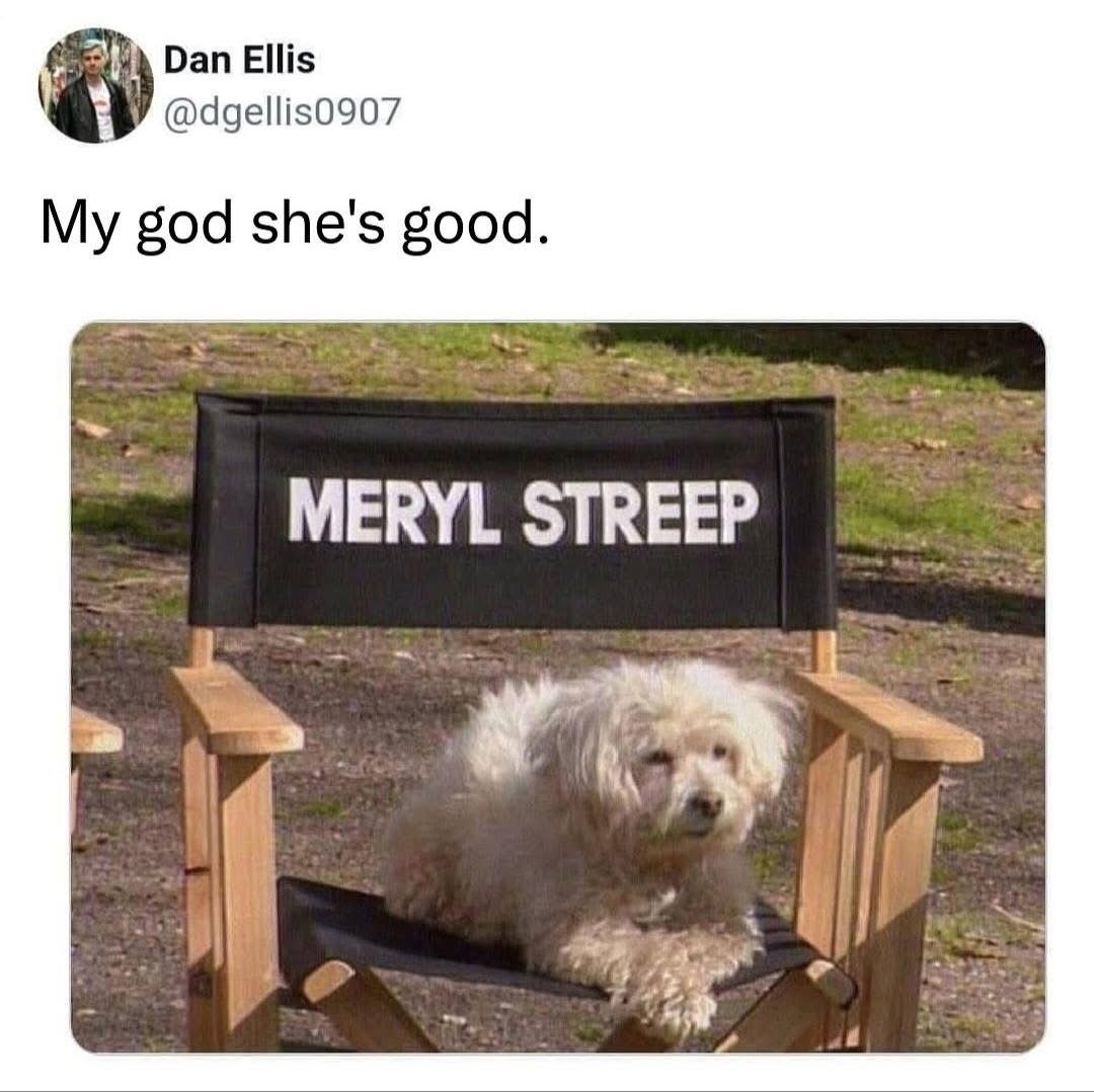 When you get cast as the lead AND you're a total diva who insists on your own chair