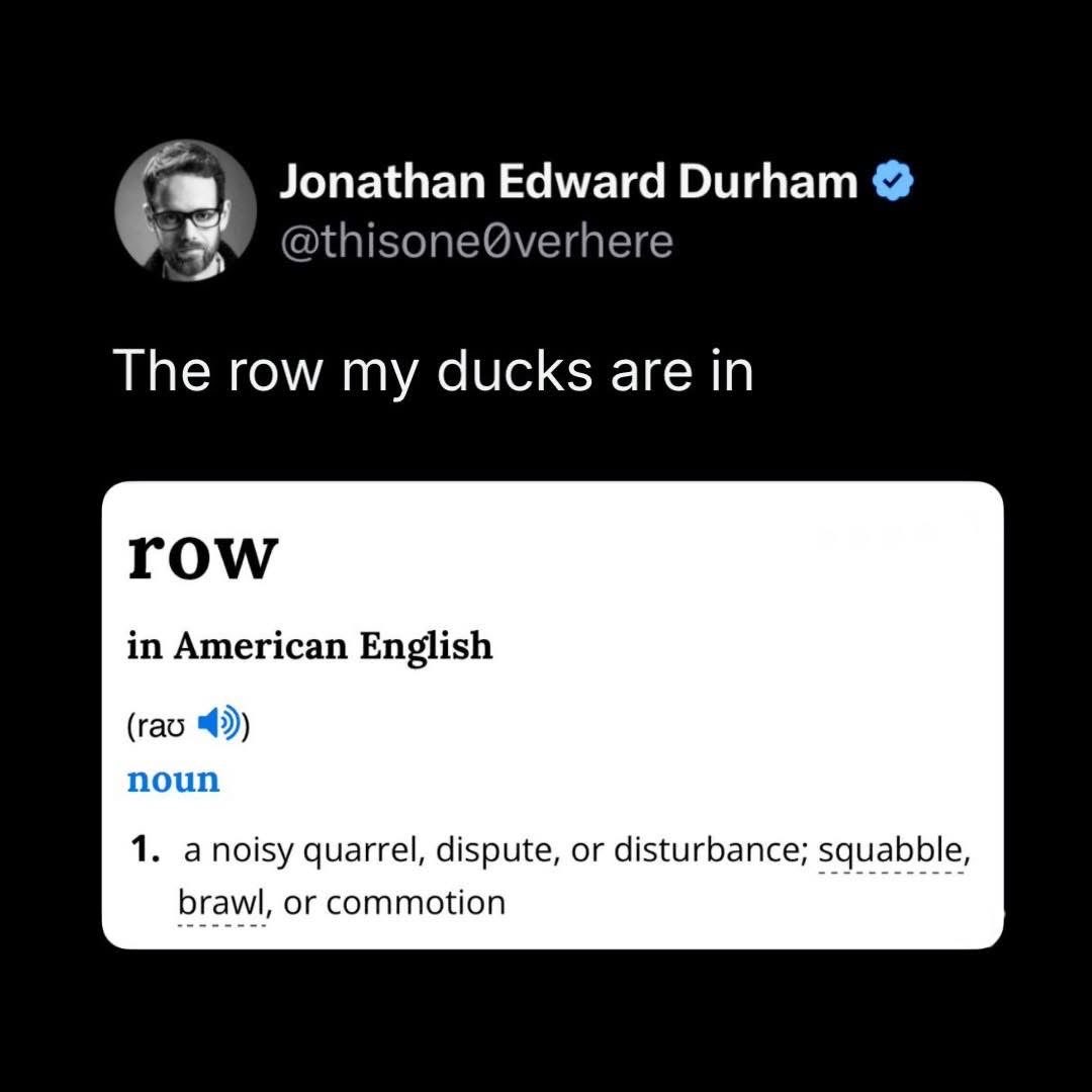 Lol, so the ducks are in a commotion? Genius.