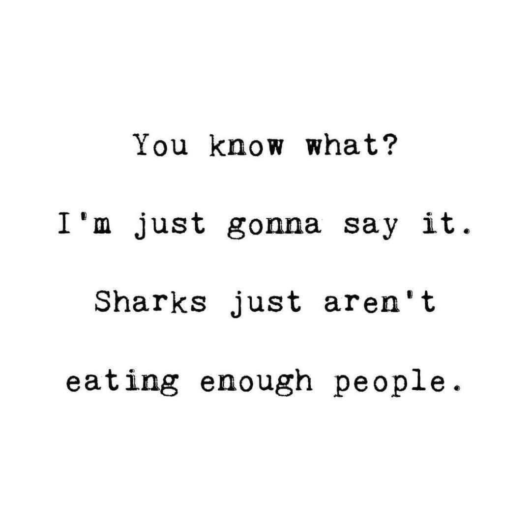 Someone actually saying the quiet part out loud about sharks.