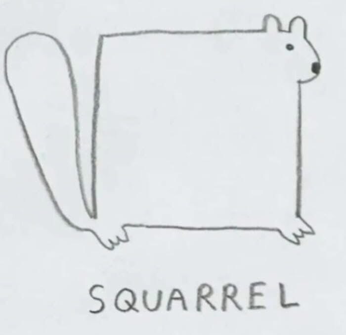 This squirrel is more of a rectangle, honestly.