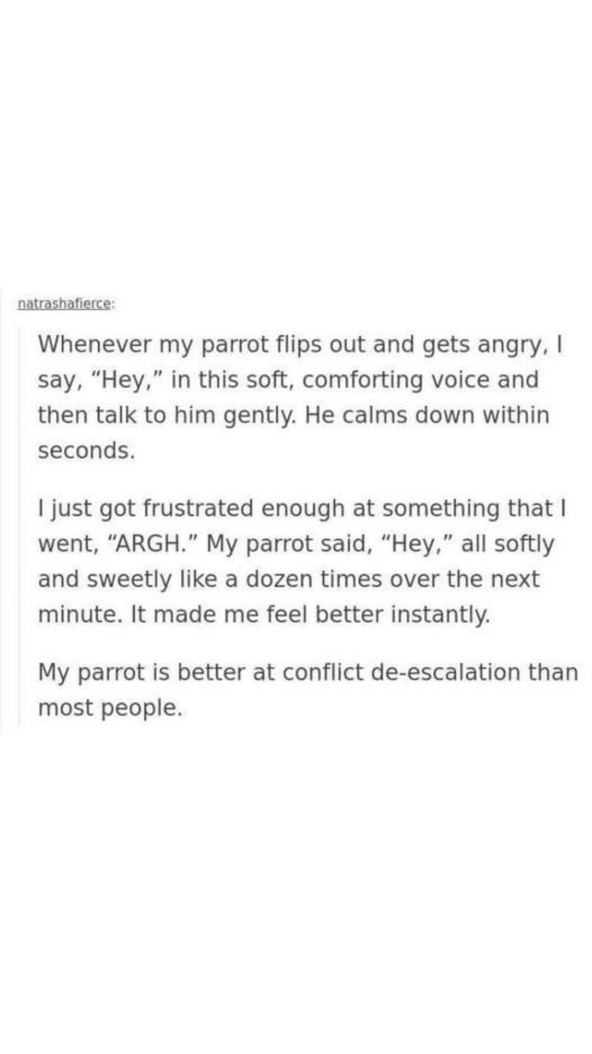 My parrot is somehow better at de-escalation than most people.