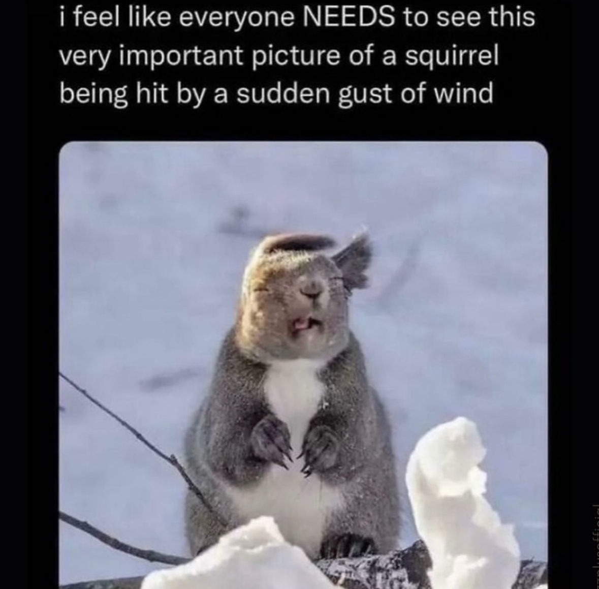 When you forgot to zip up your jacket and a cold wind hits you