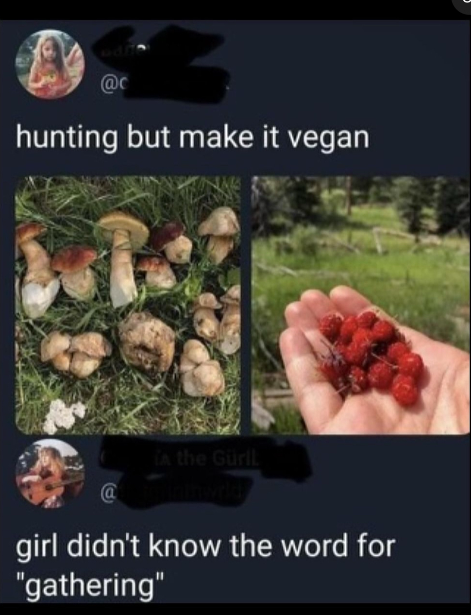 When you're vegan and tried to go hunting but ended up foraging instead