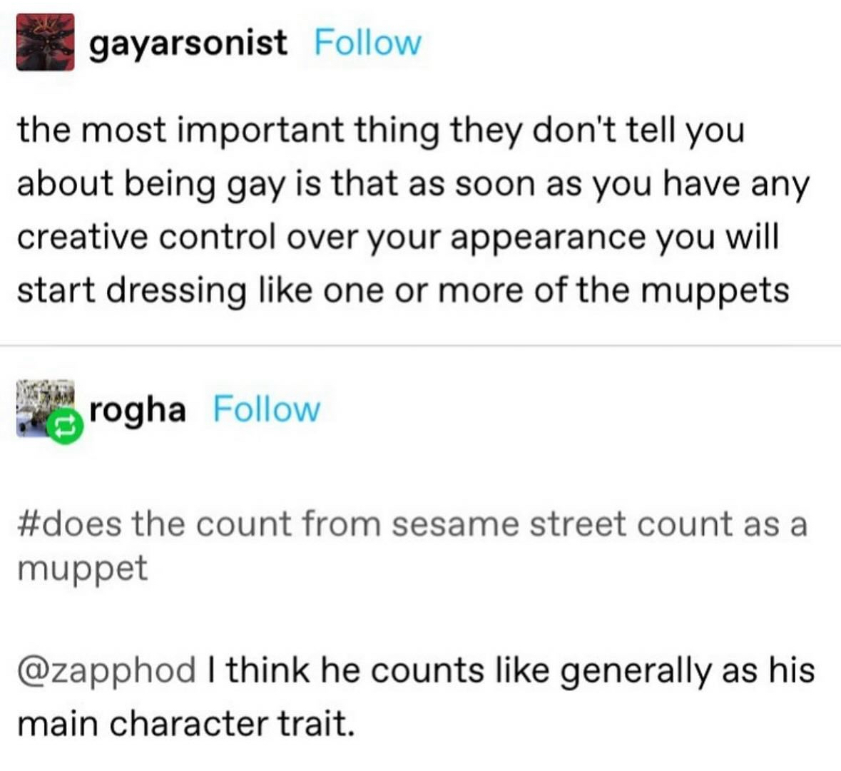 When you realize embracing your gay identity means you start dressing like a muppet.