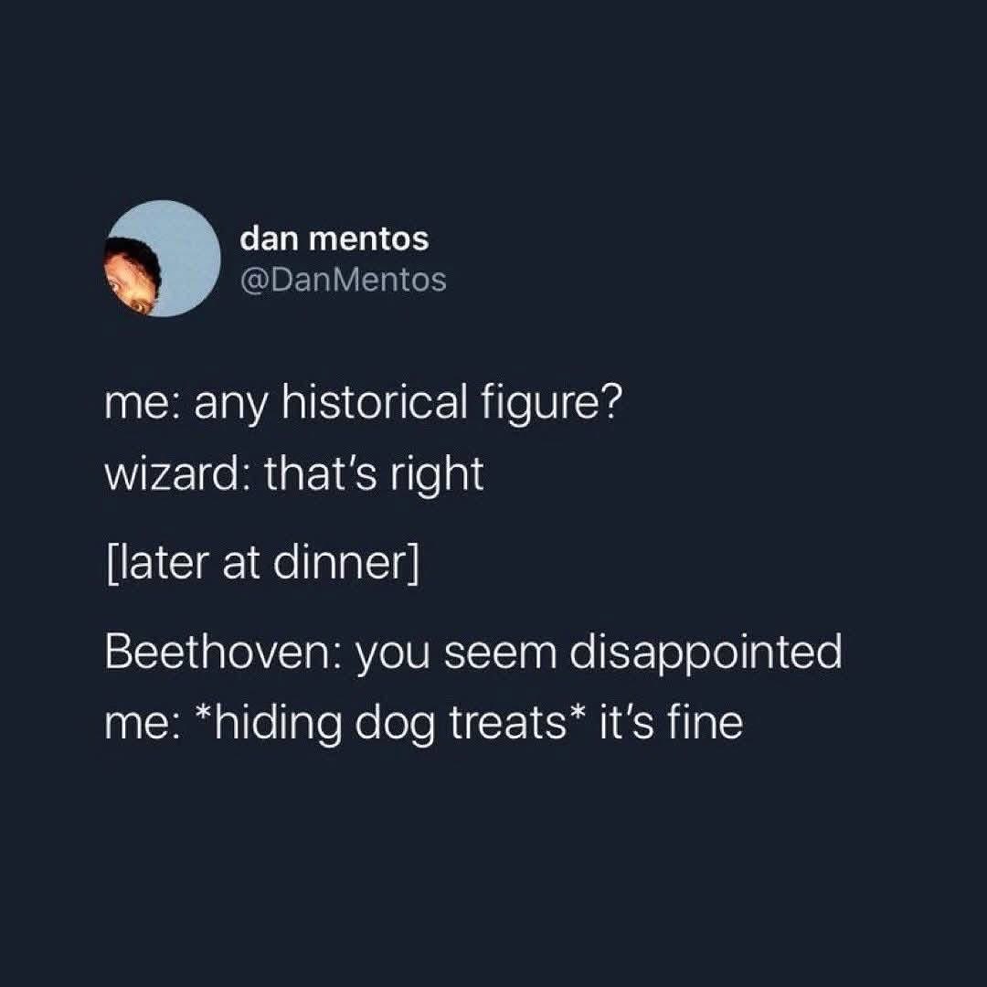 When you ask a wizard about historical figures and then Beethoven shows up at dinner mad you're hiding dog treats.
