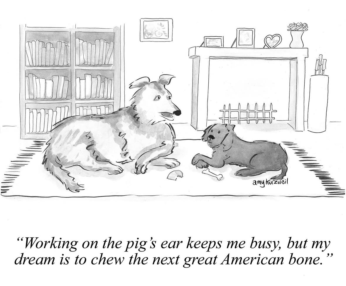 This doggo is a wannabe writer but also just really wants a big bone