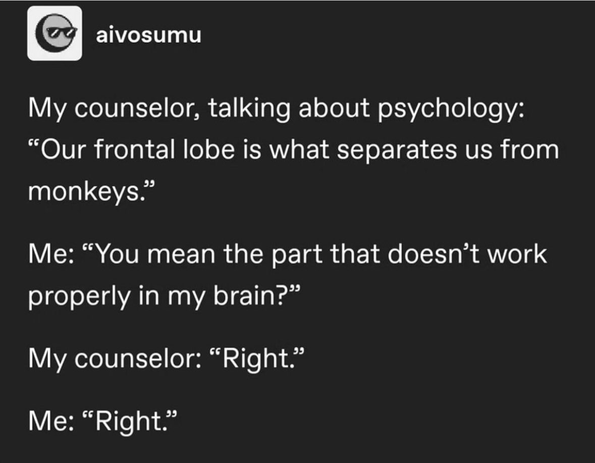 When your counselor explains what separates humans from monkeys and you're like 'oh you mean the broken part'