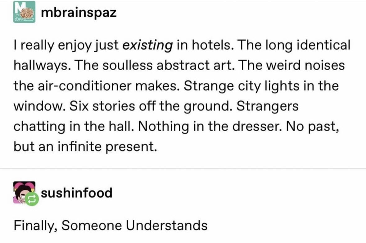 Me explaining my love for hotels and their vague, liminal energy
