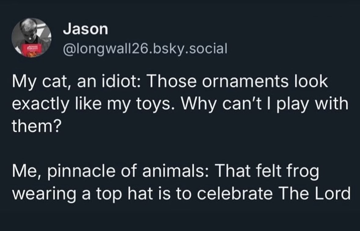 My cat will never understand my sophisticated Christmas decor tastes.