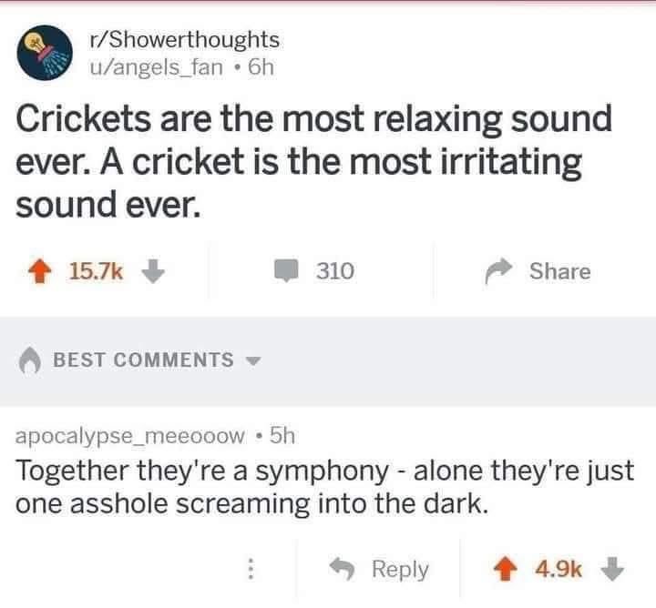 lol this comment about crickets is so accurate