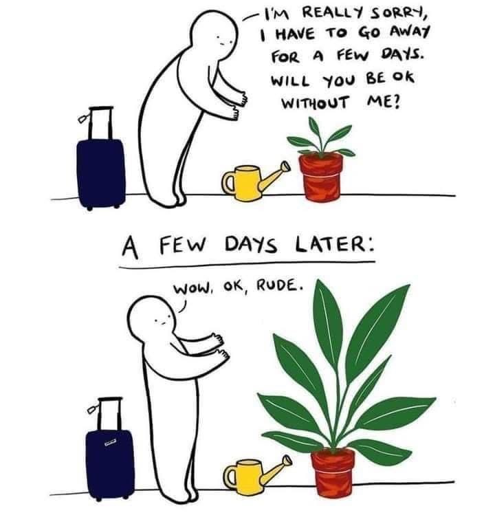 Me asking my plant if it will be ok without me, only for it to thrive and judge me when I get back