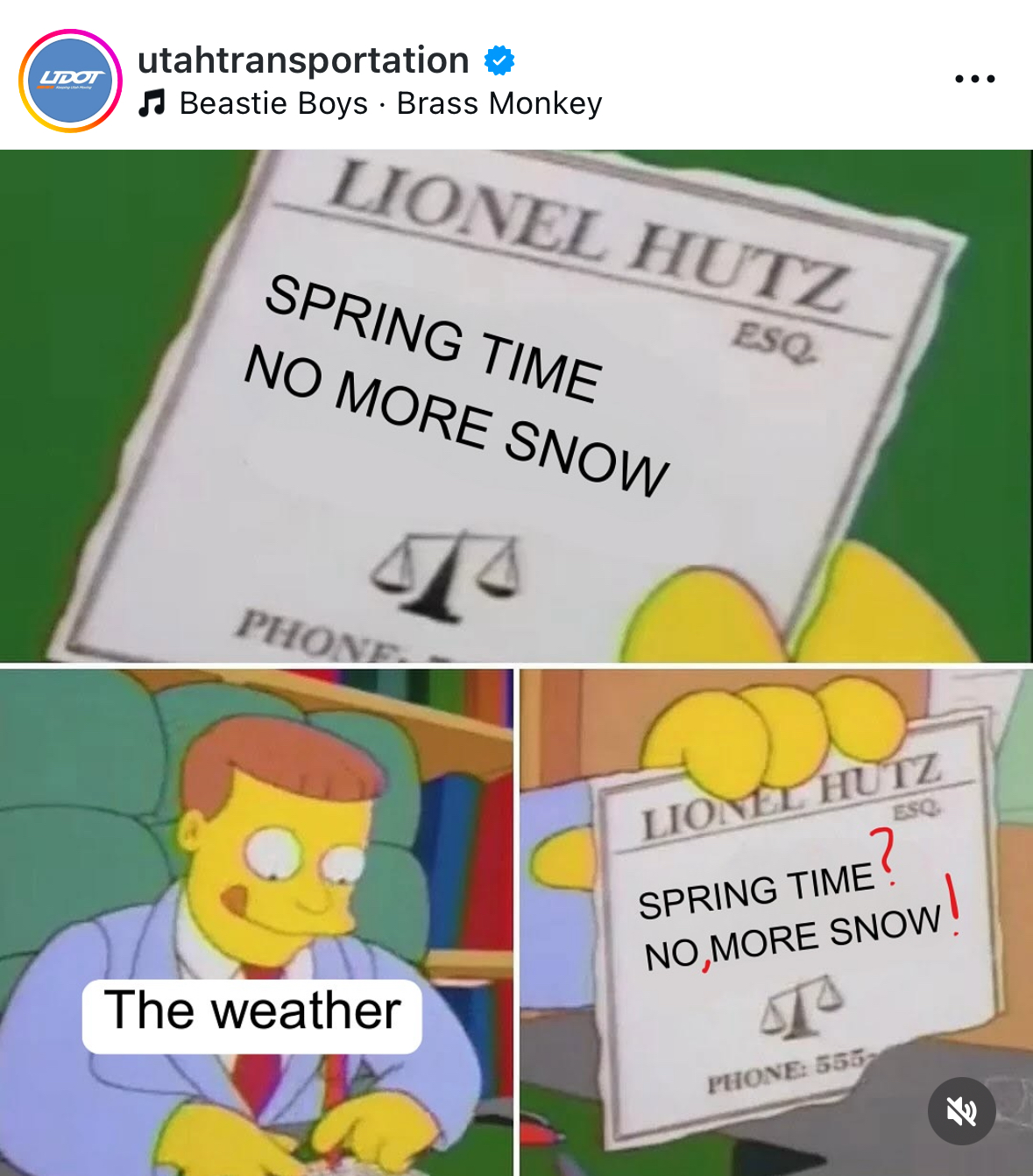 Me trying to convince myself spring is here while it's still snowing
