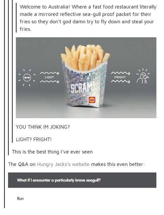 Hungry Jacks made seagull-proof french fry packaging and their FAQ suggests you just 'Run' if you meet a brave one.