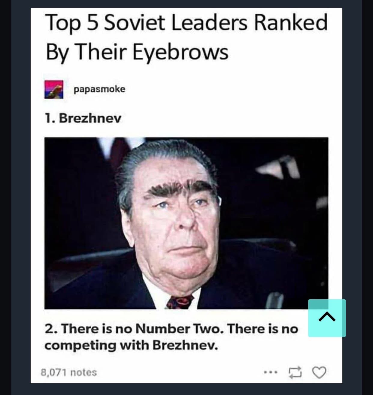 This list of Soviet leaders ranked by eyebrows is so accurate, they had to stop at number one because nobody could compete with Brezhnev's brows.