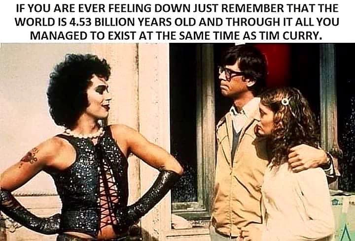 When you realize you get to exist at the same time as Tim Curry