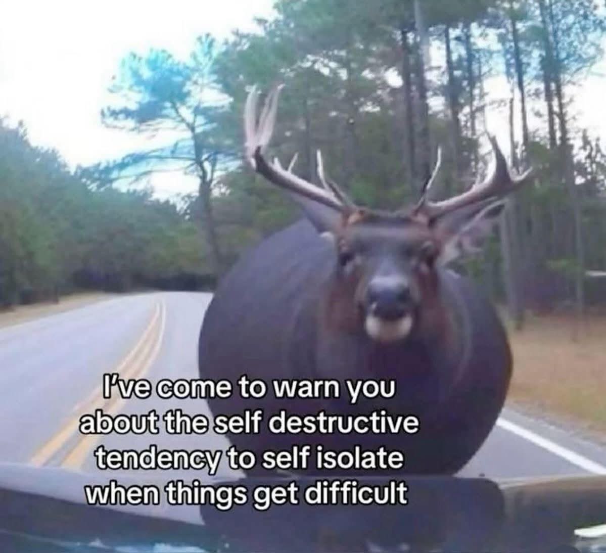Me giving life advice to myself at 3am