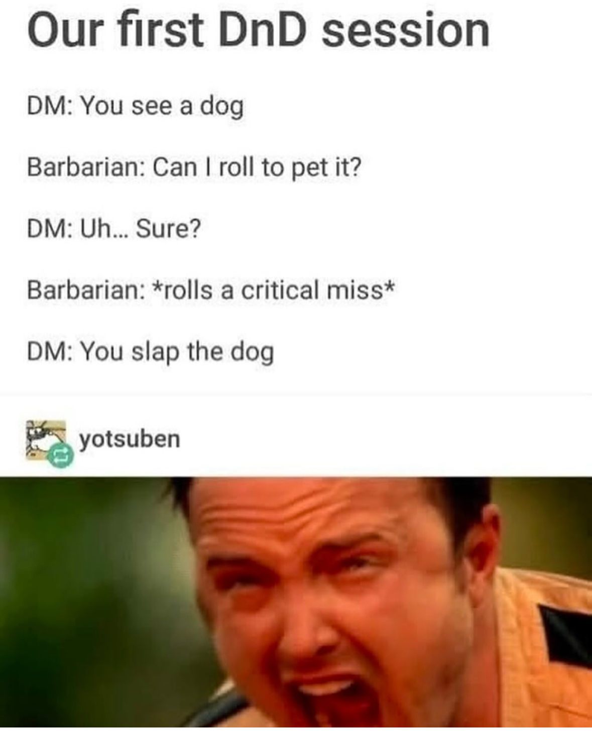When you try to pet a dog in DnD and critically miss so you end up slapping it instead