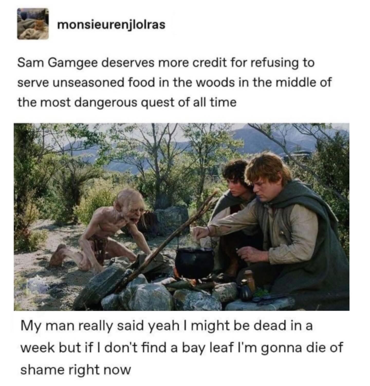 When you're on the most dangerous quest ever but still need your food to be seasoned.