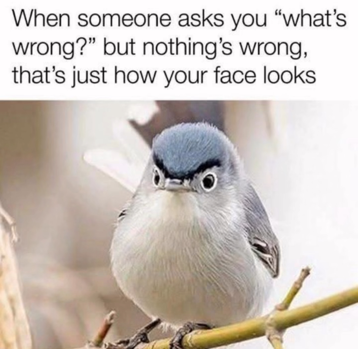 My face when people ask me what's wrong but I'm just existing??