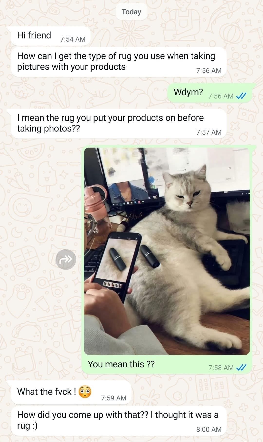 When you ask for the rug they use for product photos and they show you a cat.