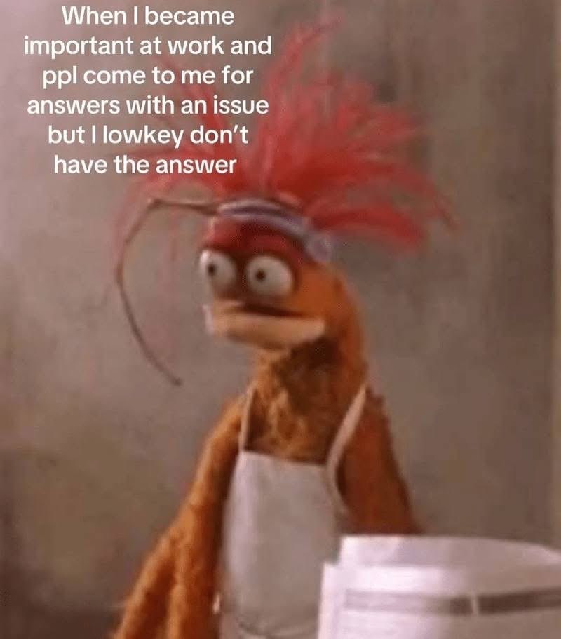 Me when my boss asks for my opinion on something but I've literally never thought about it before