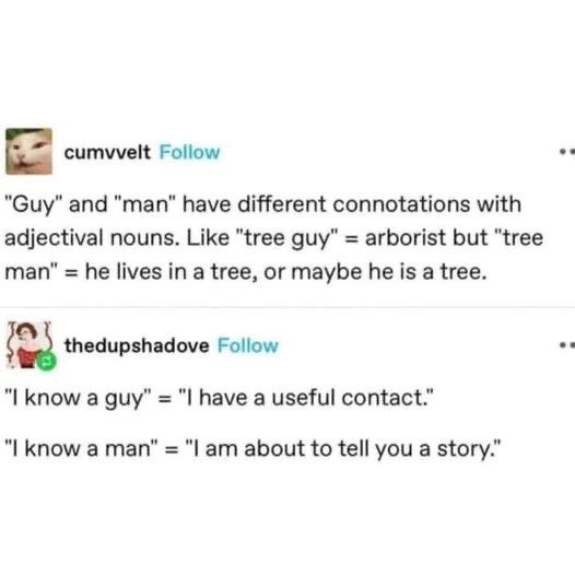 Basically 'tree guy' is your friendly neighborhood arborist, but 'tree man' is either a hermit or literally a tree.