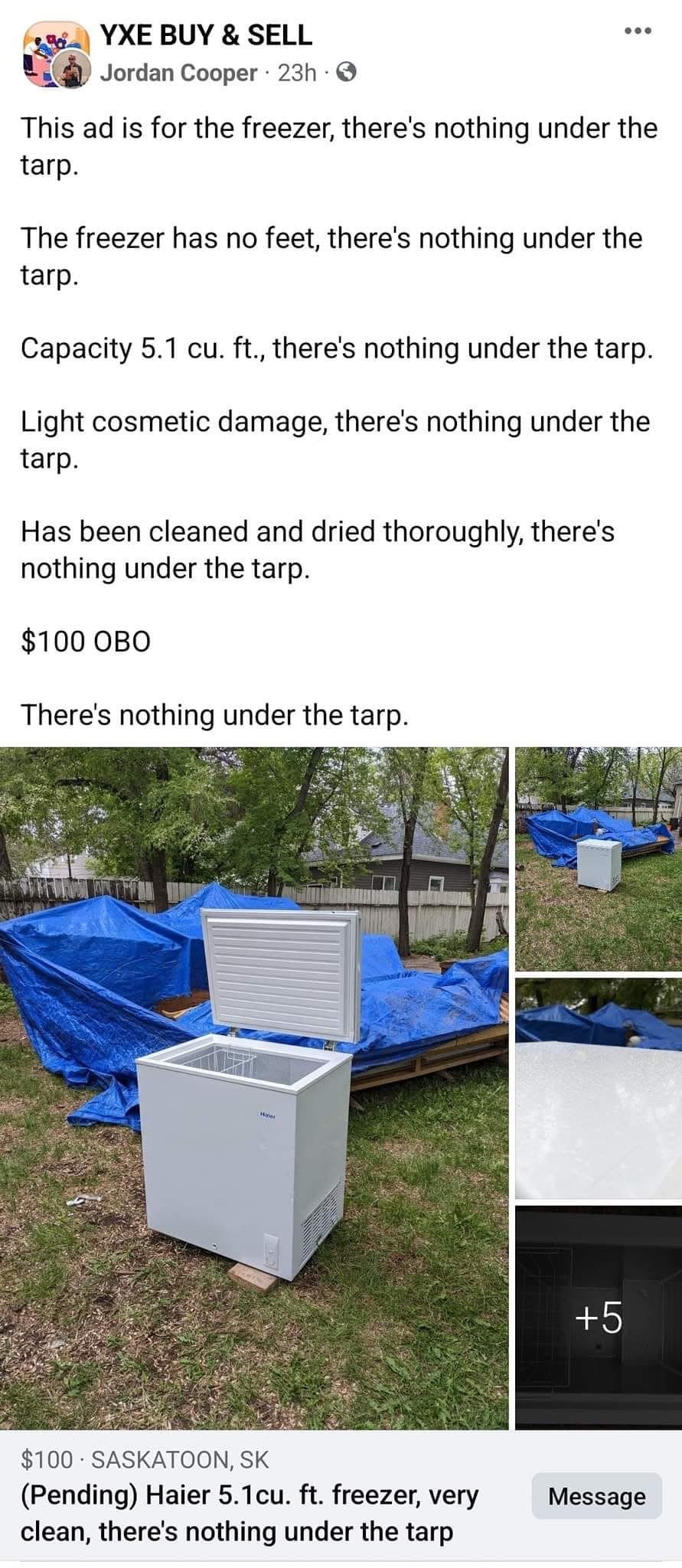 Selling a freezer, but also repeatedly reminding you there's nothing under the tarp. What could they be hiding?