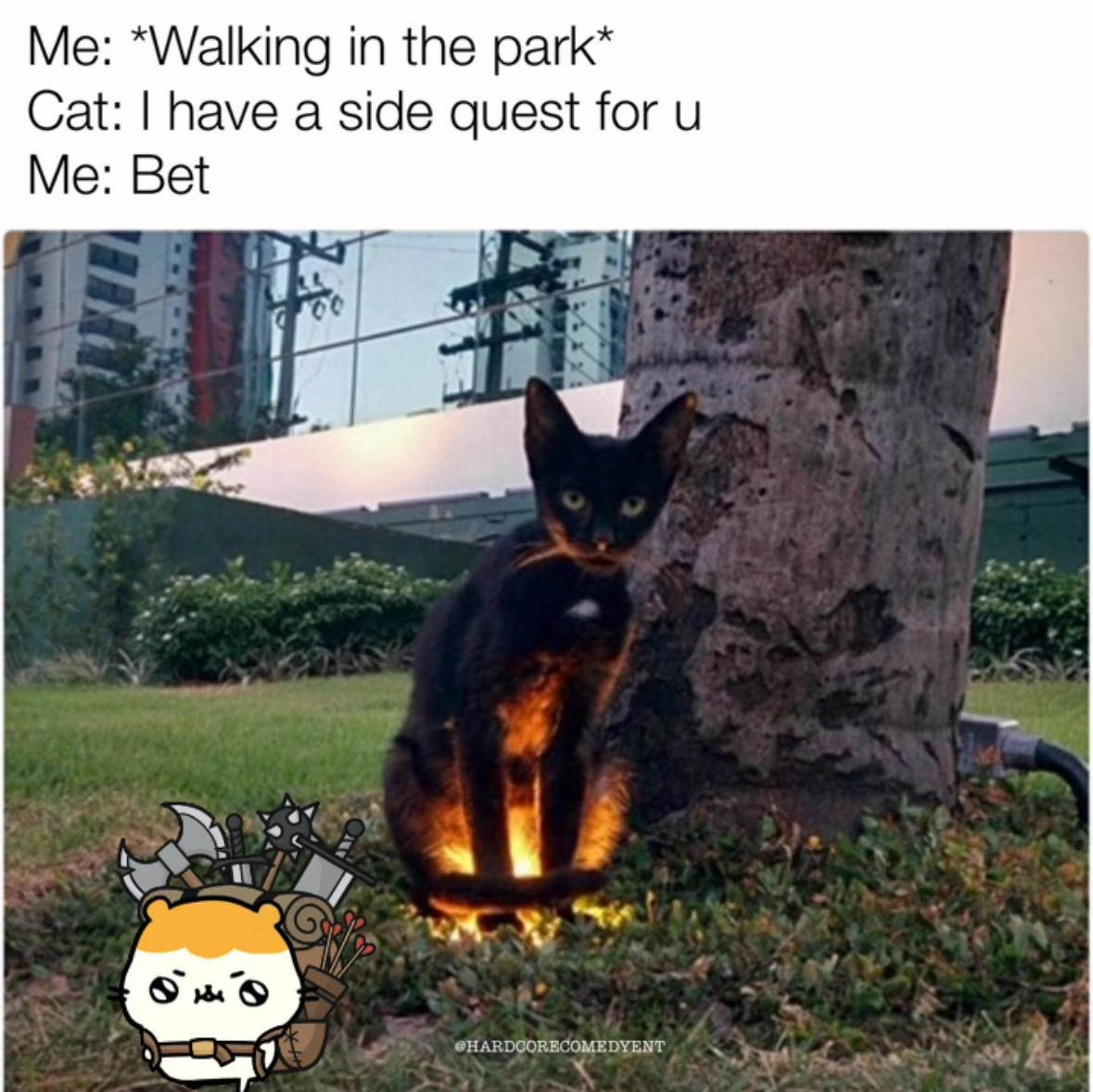 When you chillin in the park and a quest giver appears