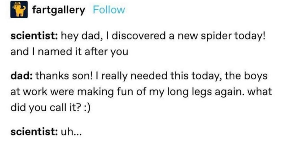 When you name a spider after your dad and it turns out he's really insecure about his long legs