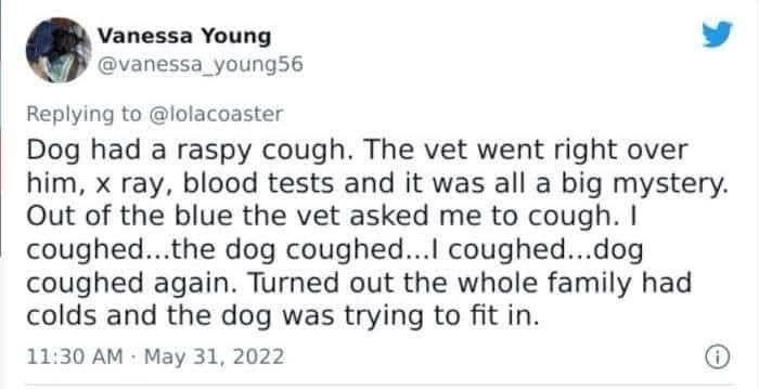 My dog was coughing so the vet checked him out, then realized the dog was just trying to join in on our family colds