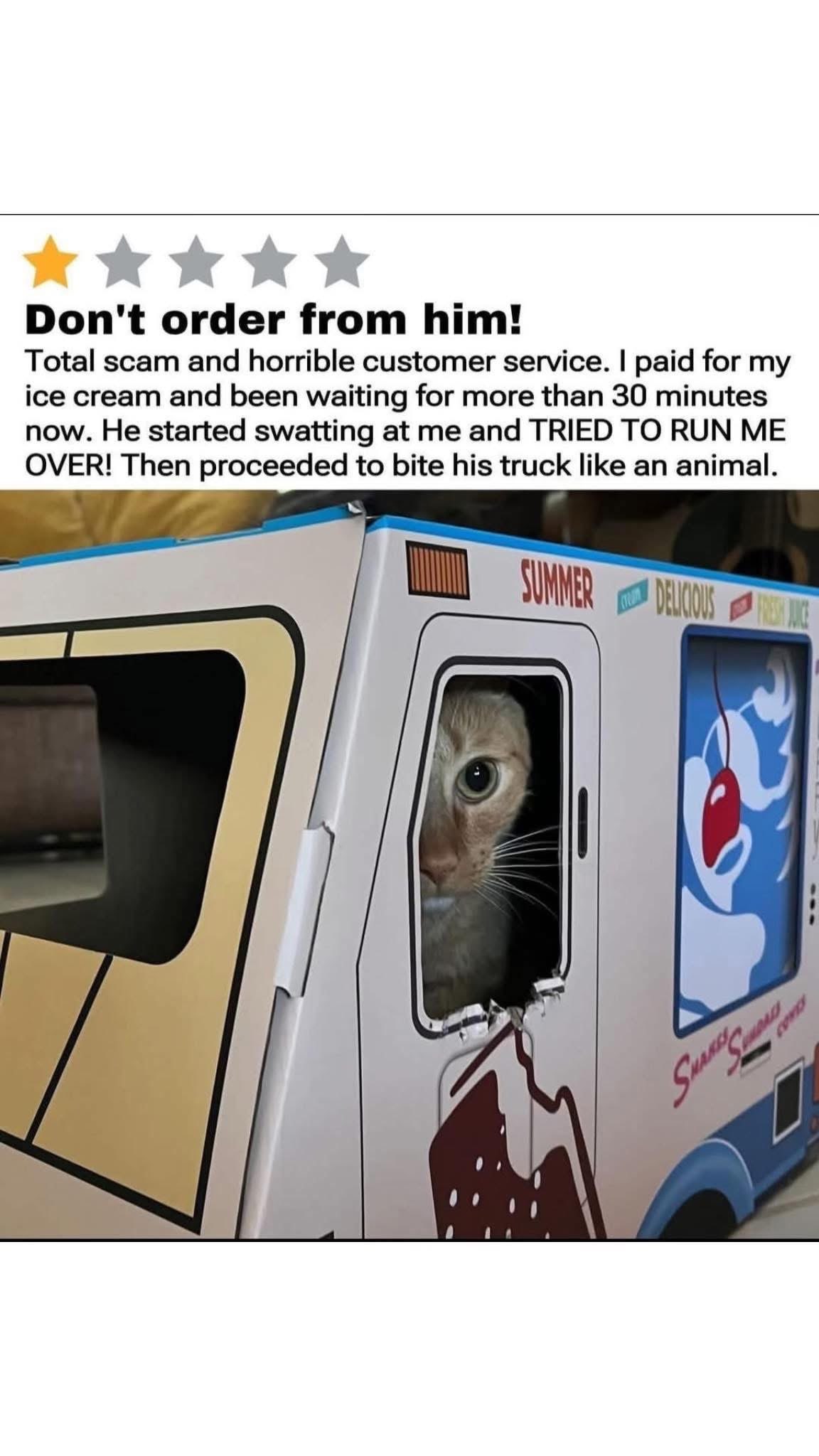 Never ordering ice cream from this cat again, he's a menace! He tried to run me over AND bite his own truck.